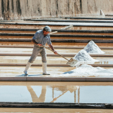 Salt Pans of Rio Maior