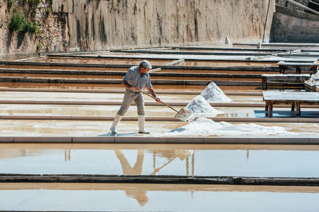 Salt Pans of Rio Maior