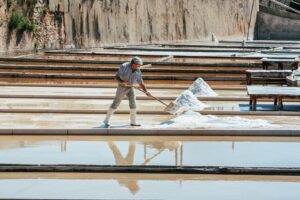 Salt Pans of Rio Maior